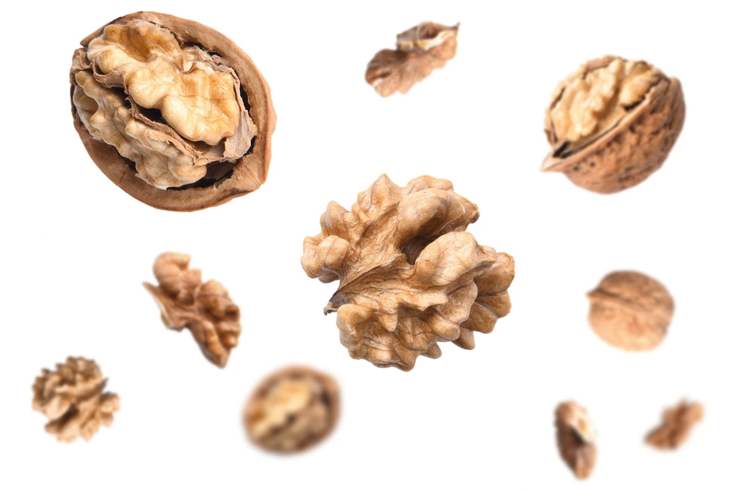 falling-walnuts-isolated-white-surface_55883-3351-Copy.jpg